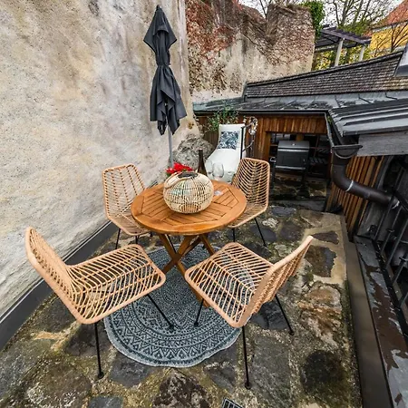 Smile Mit Donaublick *