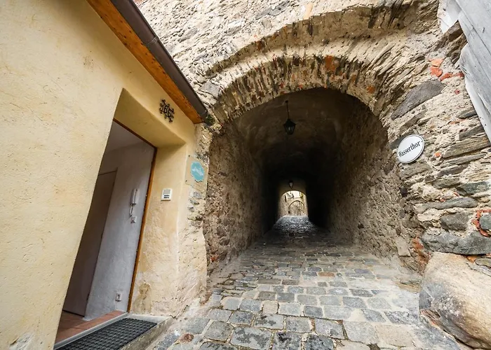 Apartamento Smile Mit Donaublick *